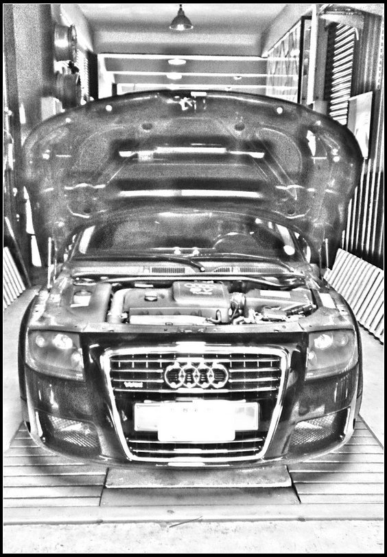 Audi56