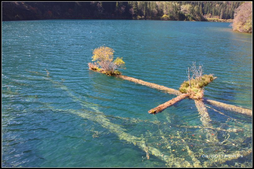 九寨溝(Jiuzhaigou)031