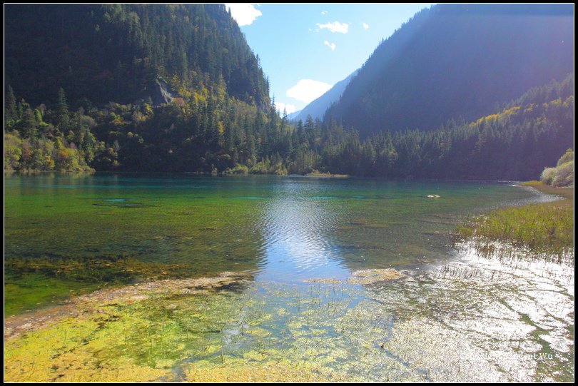 九寨溝(Jiuzhaigou)045