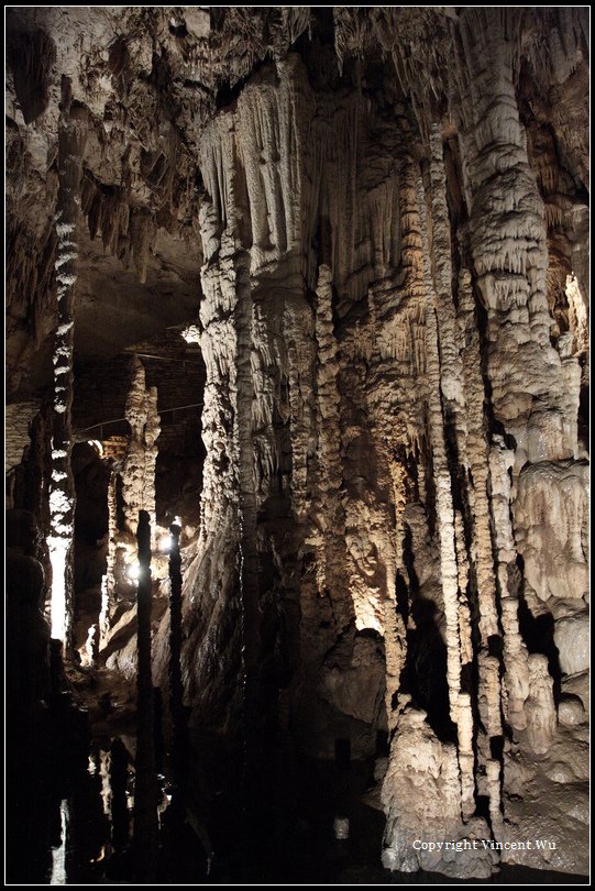 自然橋岩洞(Natural Bridge Caverns)17