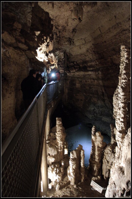 自然橋岩洞(Natural Bridge Caverns)21