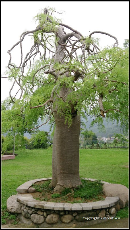 SCHOKOLAKE 巧克力雲莊07