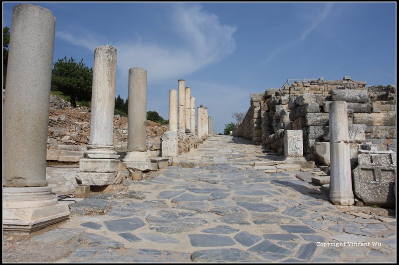 艾菲索斯(EFES ÖRENYERİ/EPHESUS ARCHAEOLOGICAL SITE)11