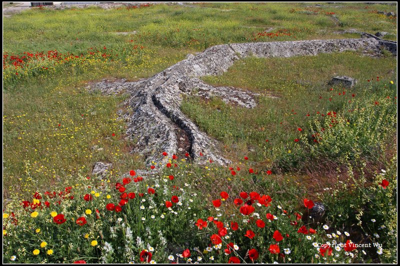 希拉波里斯古城(HIERAPOLIS ÖRENYERİ/HIERAPOLIS ARCHAEOLOGICAL SITE)08