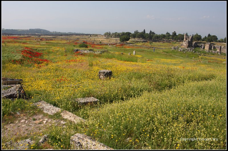 希拉波里斯古城(HIERAPOLIS ÖRENYERİ/HIERAPOLIS ARCHAEOLOGICAL SITE)12