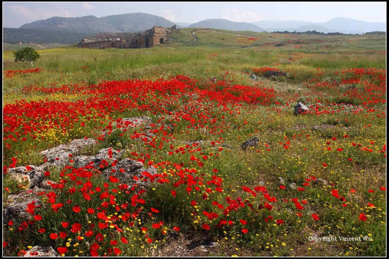 希拉波里斯古城(HIERAPOLIS ÖRENYERİ/HIERAPOLIS ARCHAEOLOGICAL SITE)13