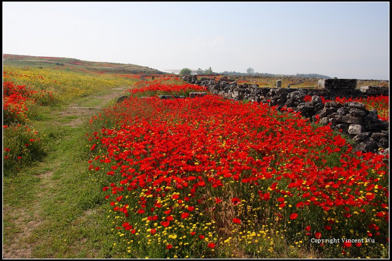 希拉波里斯古城(HIERAPOLIS ÖRENYERİ/HIERAPOLIS ARCHAEOLOGICAL SITE)14