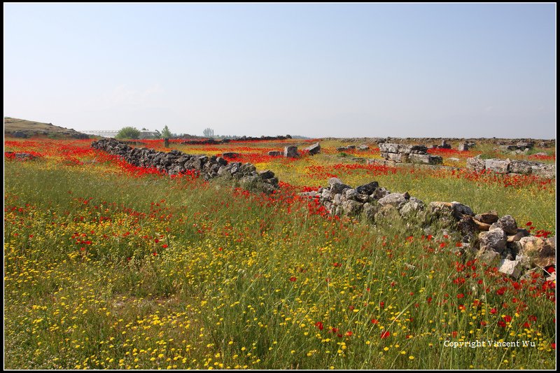 希拉波里斯古城(HIERAPOLIS ÖRENYERİ/HIERAPOLIS ARCHAEOLOGICAL SITE)15