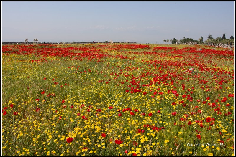 希拉波里斯古城(HIERAPOLIS ÖRENYERİ/HIERAPOLIS ARCHAEOLOGICAL SITE)16