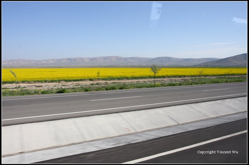 土耳其(TÜRKİYE/TURKEY)08