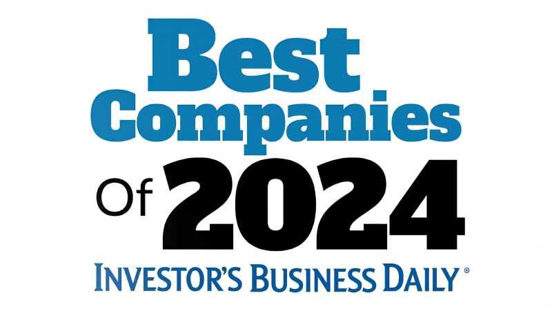 The 100 Best Stocks Of 2024