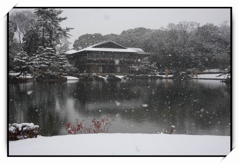 徳川園(Tokugawaen)12