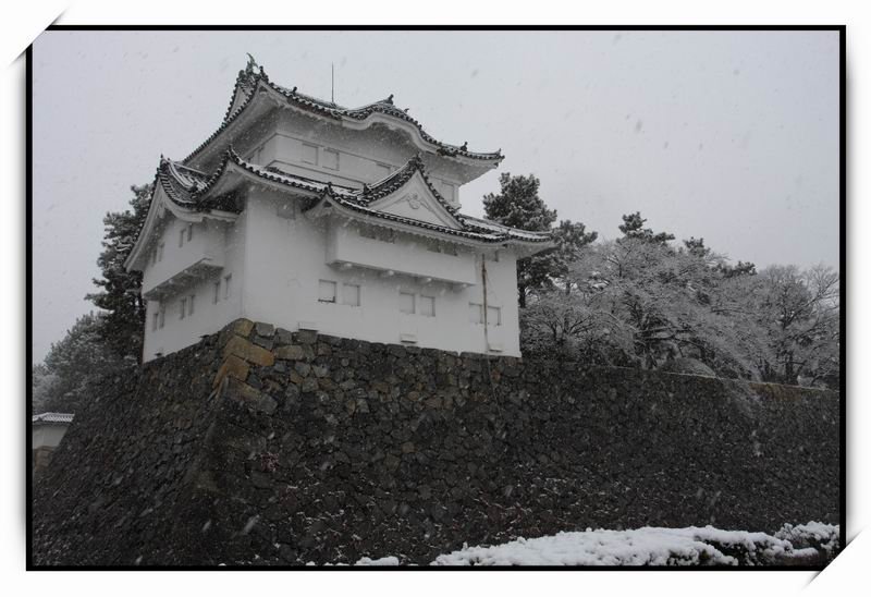 名古屋城(Nagoya Castle)15