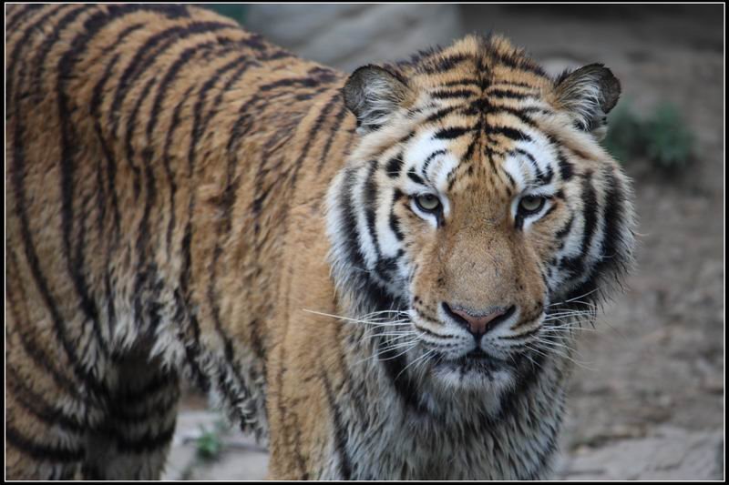 新竹市立動物園11