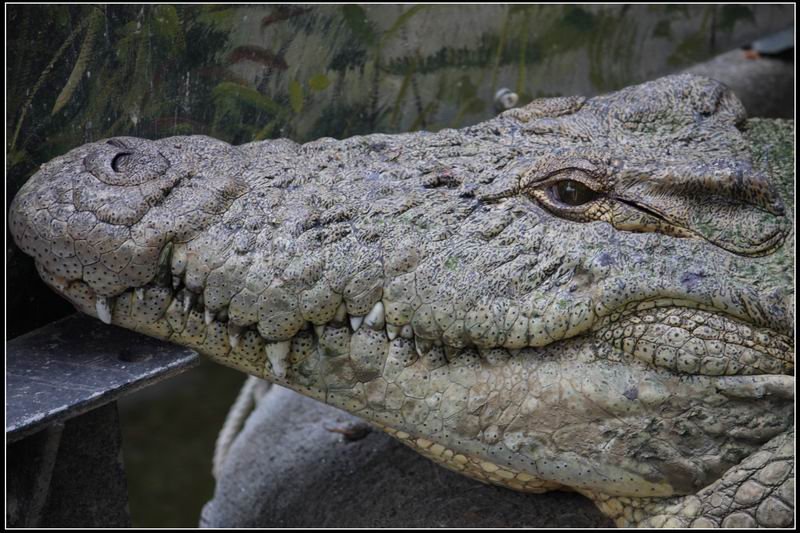 新竹市立動物園14