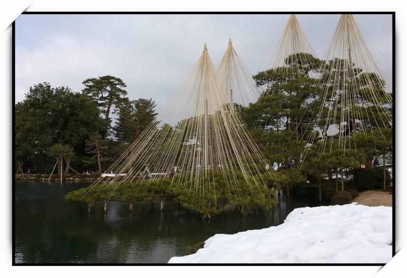 兼六園(Kenroku-en)14