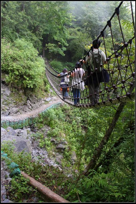 檜山巨木群步道01