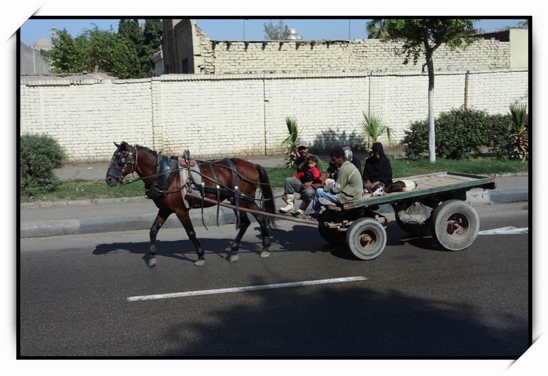 開羅(Cairo)06