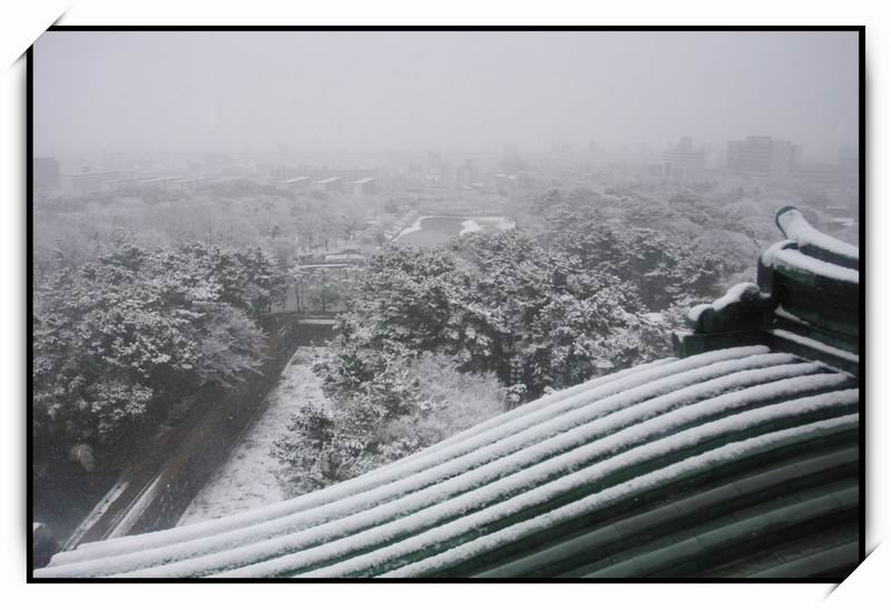 名古屋城(Nagoya Castle)28