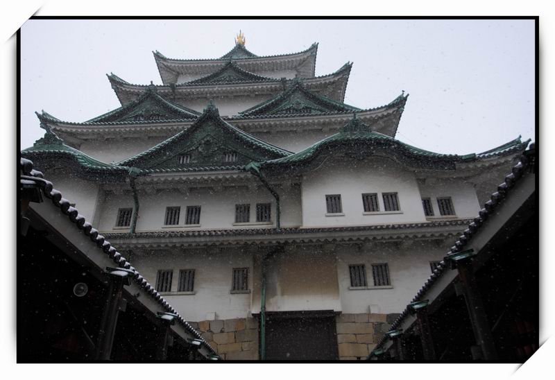 名古屋城(Nagoya Castle)21