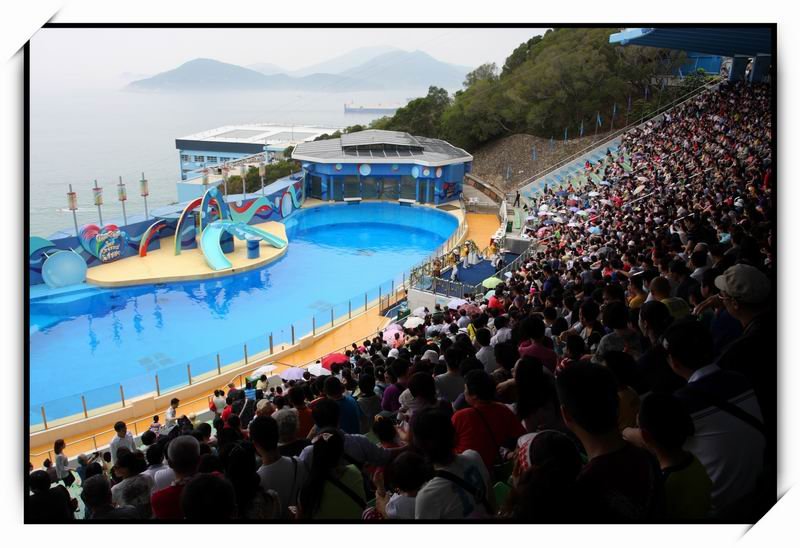 海洋公園(Ocean Park)37