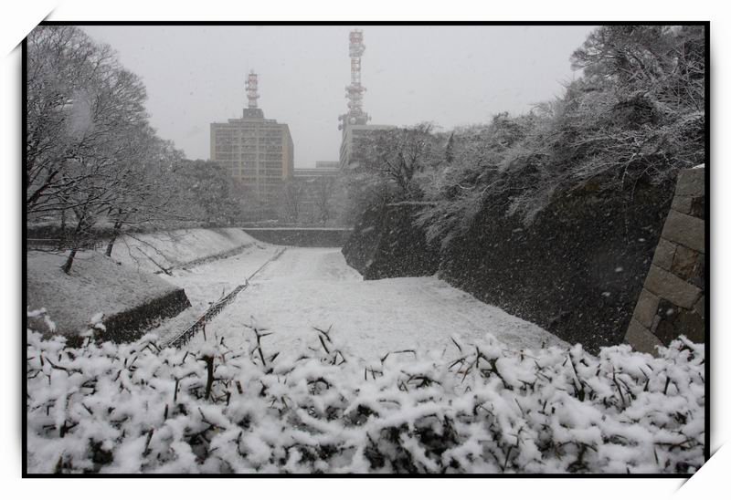 名古屋城(Nagoya Castle)01