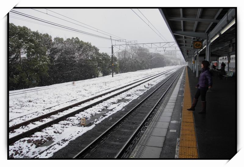 JR東海道線_特急しらさぎ(北陸)01