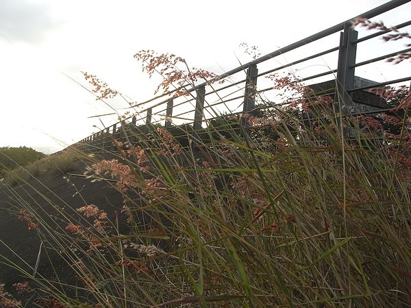 RIMG0145.JPG