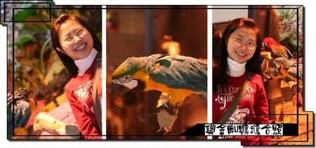 下一張(熱鍵:c)