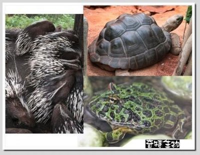 下一張(熱鍵:c)