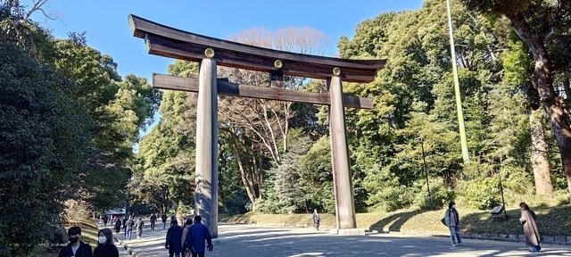 P_20230131_110537.jpg