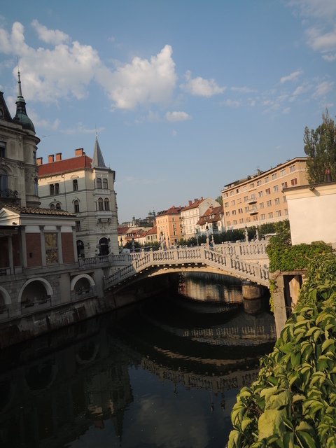 1100863103.jpg