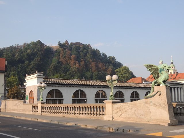 1100863292.jpg