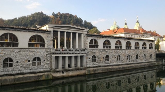 1100944043.jpg