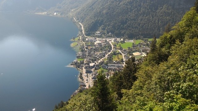1102640791.jpg