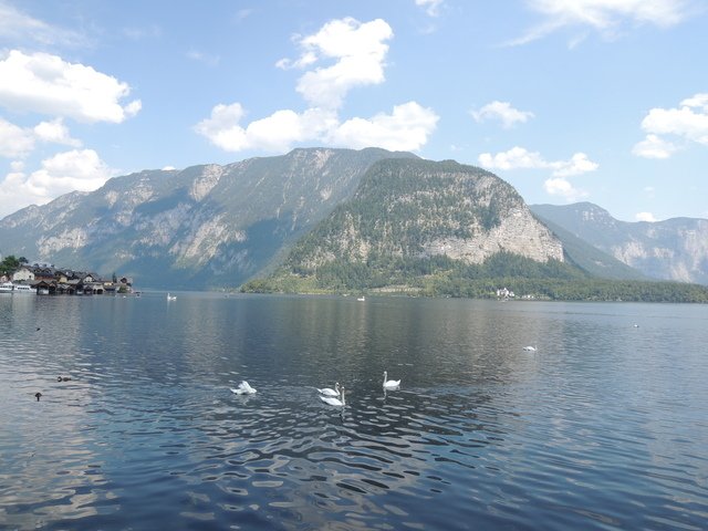 1102642496.jpg