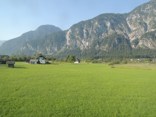 1102384397.jpg