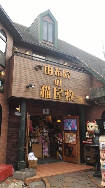 1119632406.jpg