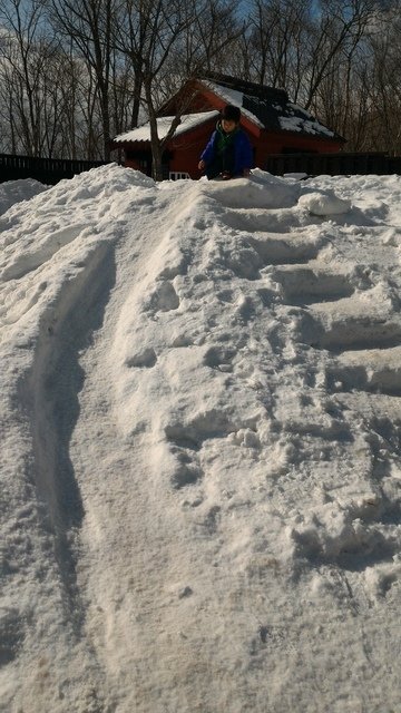 P_20170209_111606.jpg