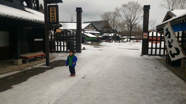 P_20170209_125036.jpg