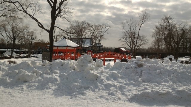P_20170209_113249.jpg