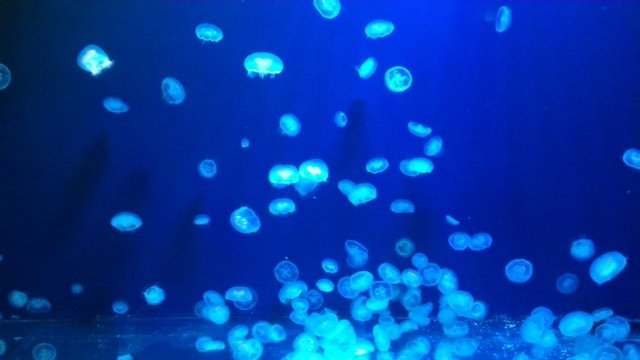 P_20170209_162331.jpg