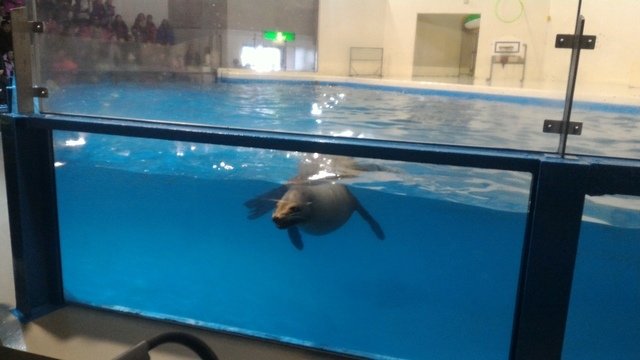 P_20170209_154033.jpg