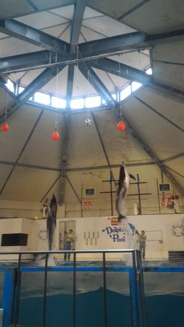 P_20170209_150130.jpg