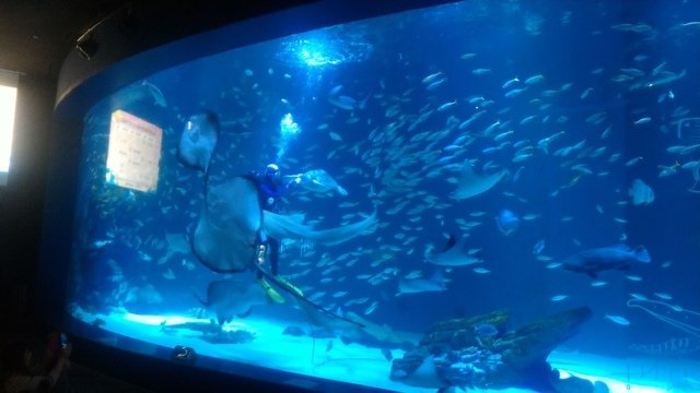 P_20180202_130237.jpg