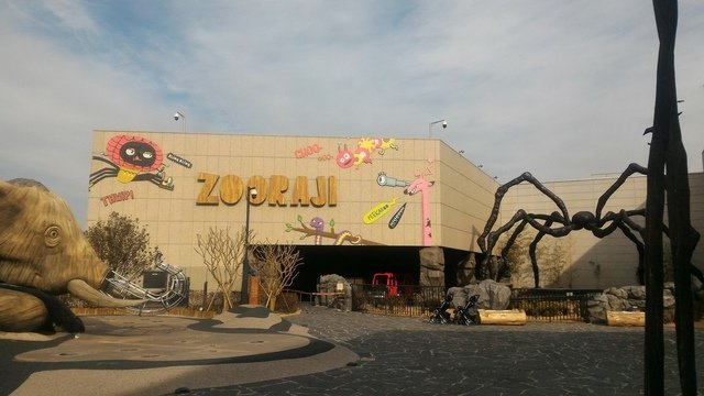 P_20180202_144801.jpg