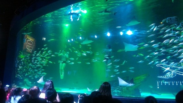 P_20180202_132410.jpg