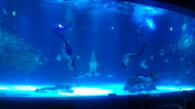 P_20180202_123617.jpg