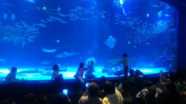 P_20180202_123827.jpg