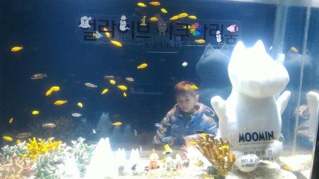 P_20180202_110808.jpg